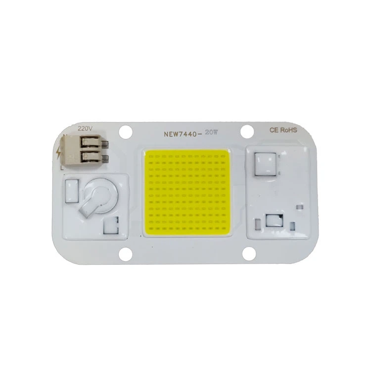 LED 20W 220V