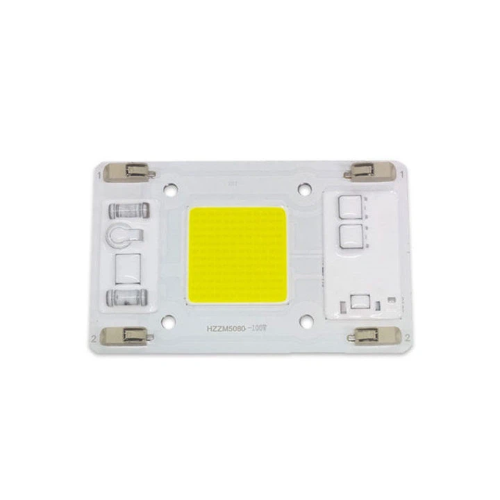 LED COB 100W 220V